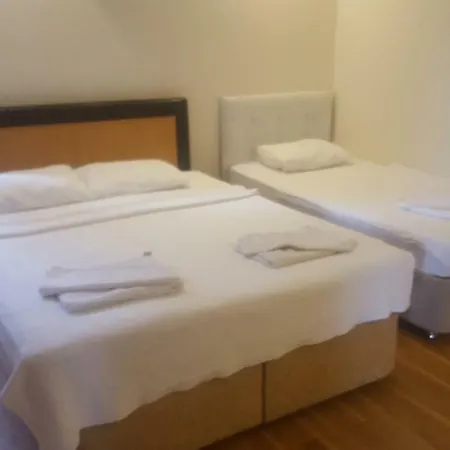 Hotel Incilikonak *