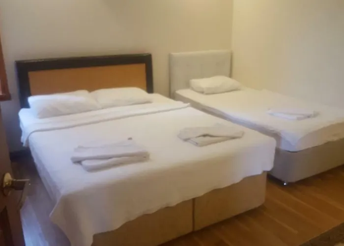 호텔 Incilikonak *