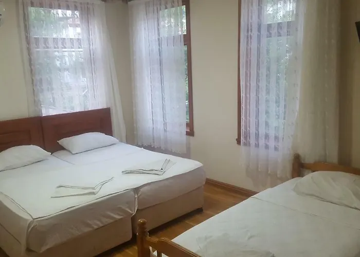 호텔 Incilikonak *